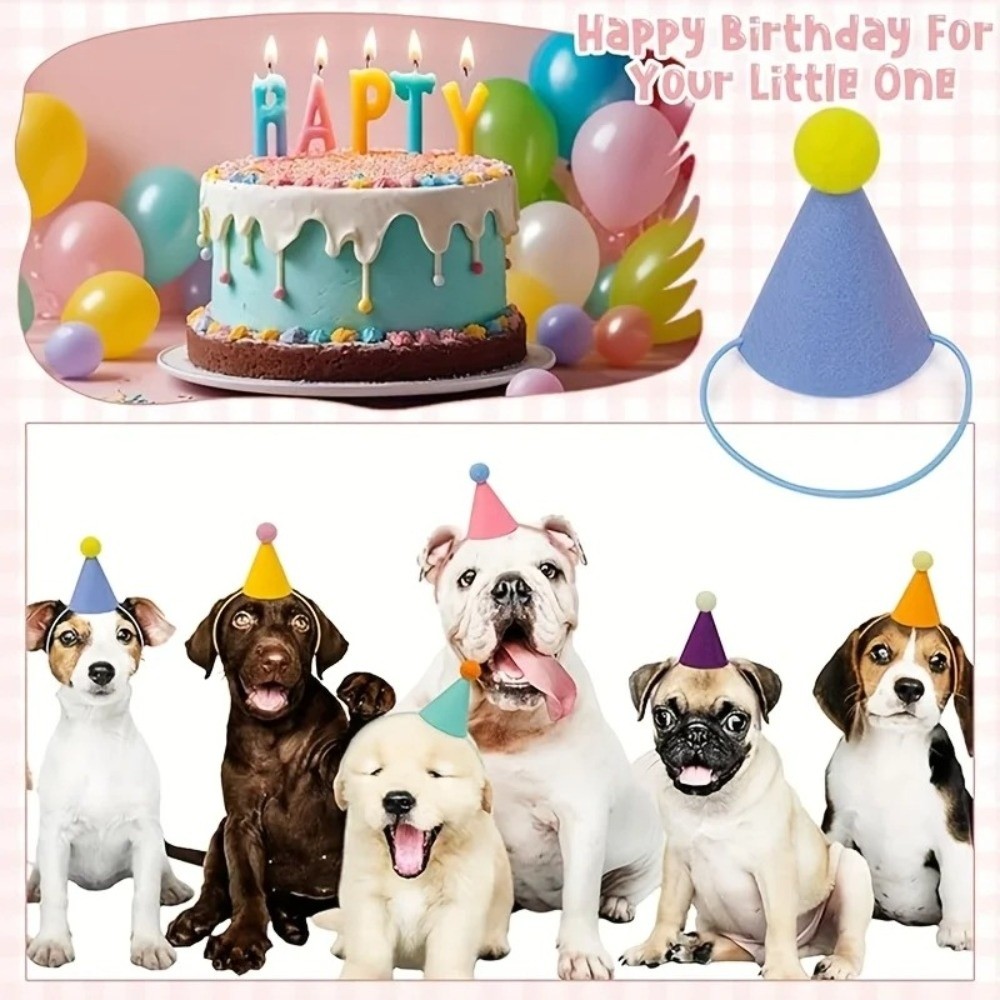 새로운 6개 세트 미니 파티 모자 가볍고 화려한 콘 모 - Party Hat Cone 리뷰 및 가격